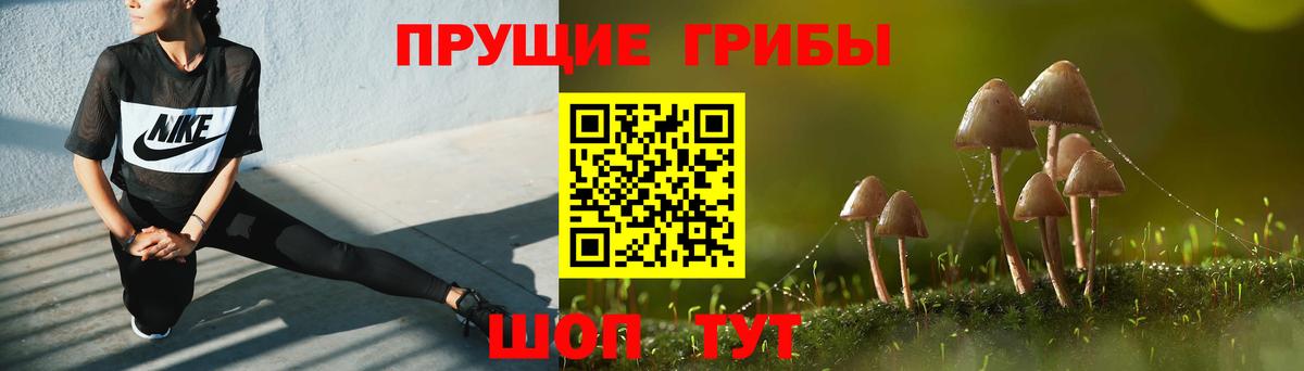 Анапа  Галлюциногенные грибы Psilocybe  Вход с VPN  Псилоцибиновые грибы мицелий 